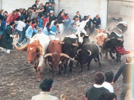 cuellar_07.jpg