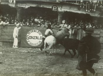 estradillo3