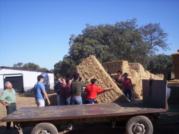 curso_conocimiento_toro_2