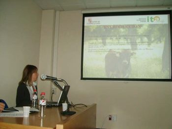 murcia 08 (11)