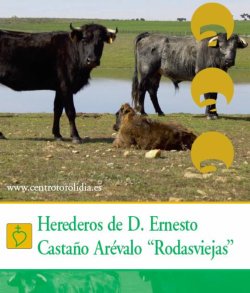 rodasviejas_portada